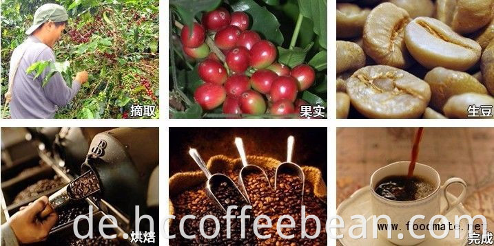 Chinesische grüne Arabica-Kaffeebohnen, gewaschen, poliert, Klasse aa 17 aufwärts